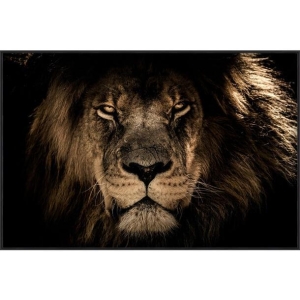 Bilde løve sort ramme 105x70cm