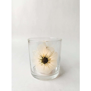 Lysglass botanikk 7x8 cm Creme