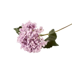 Silkeblomst Hortensia Violet h42cm