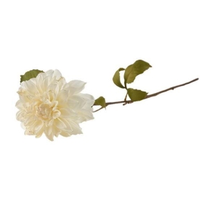 Silkeblomst dahlia Hvit 70cm