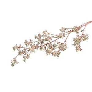 Silkeblomst Eucalyptus med bær H100cm