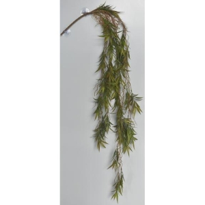 Plante heng bred Rhipsalis L 128cm