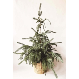 Grantre h 110cm