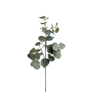 Ecalyptus med is 70 cm